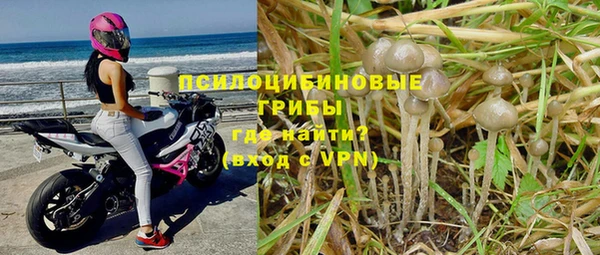 дурь Верея