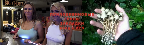 мяу мяу мука Верхний Тагил