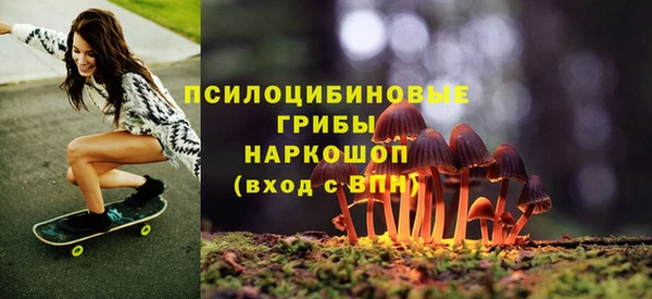 дурь Верея